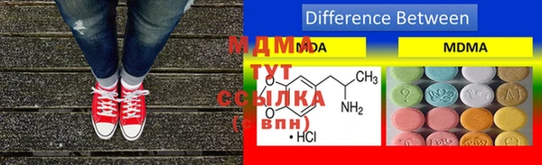 PSILOCYBIN Ельня